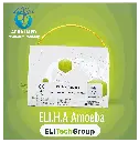 ELIHA Amoeba.webp