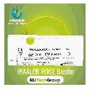WAALERS.webp