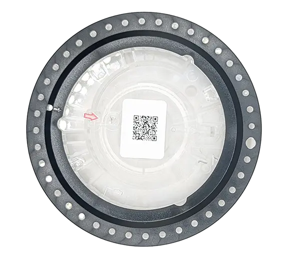 general chem 6 lipid.webp