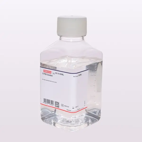 ml116_1.webp