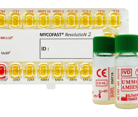 Rev2AMIES-site-web-460x390 (1).webp