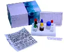 Giardia-ELISA-kit.webp