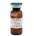 Amphotericin B AP 20mcg