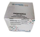 Phosphorus Monovial (PRRECISE MAX, 50x1ml)