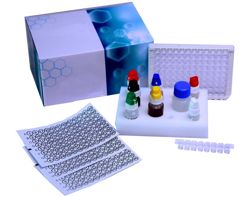 LH ELISA kit