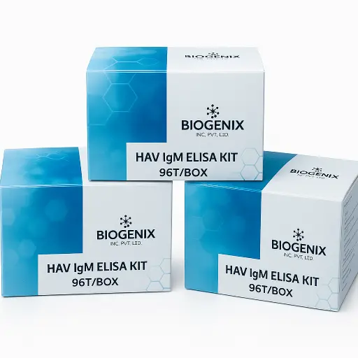 HAV IgM