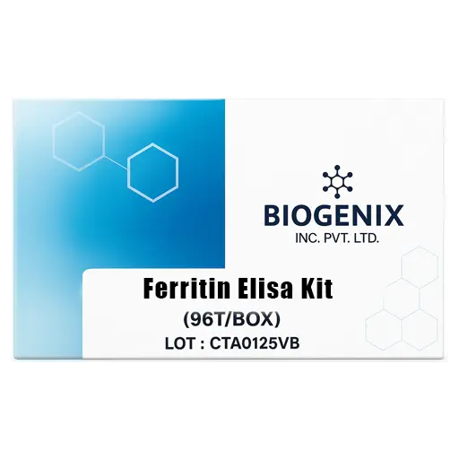 Ferritin Elisa