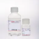 1X TE Buffer pH 8.0