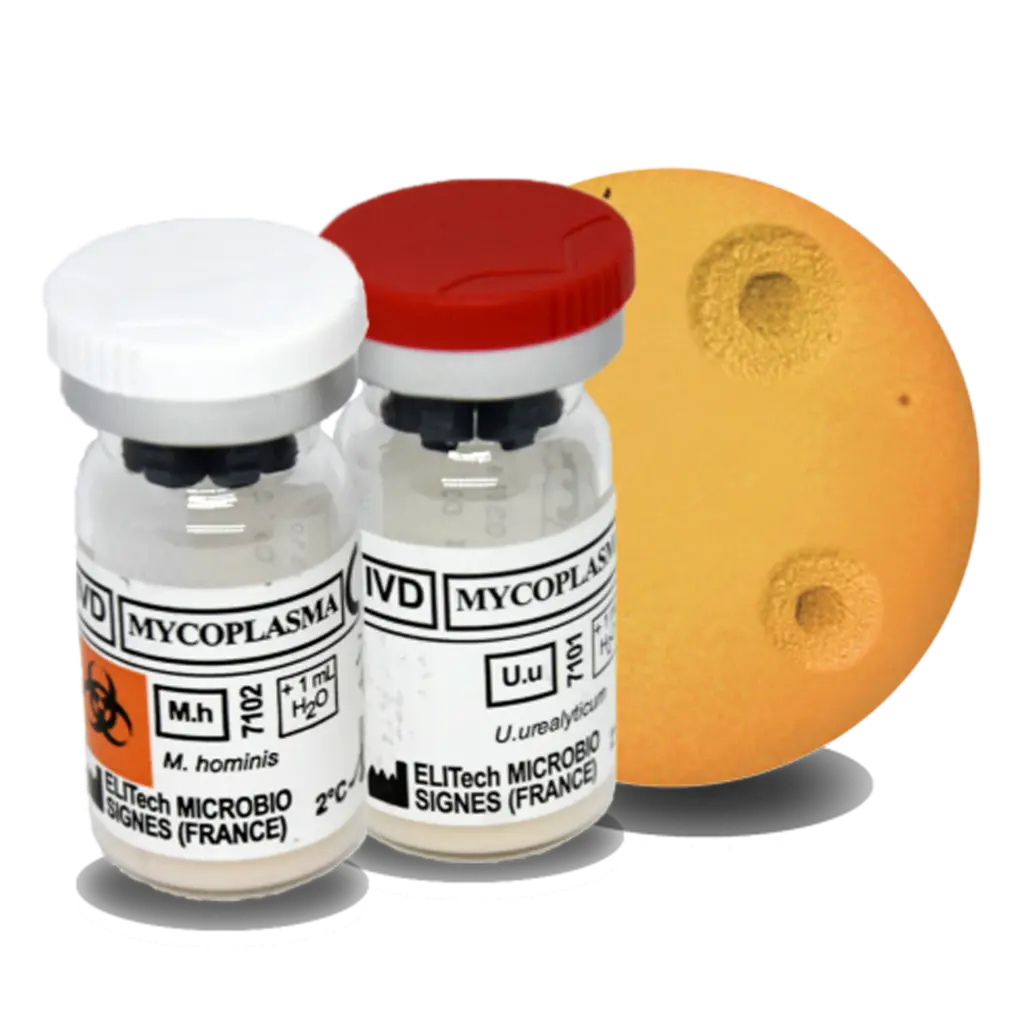 STERILE Medium for Mycoplasma