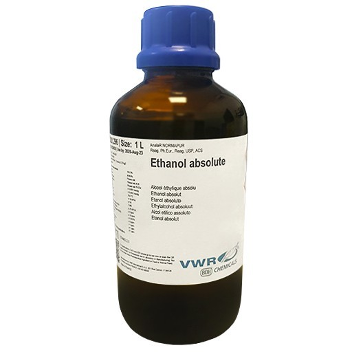 Ethanol ABSOLUTE (2.5L)