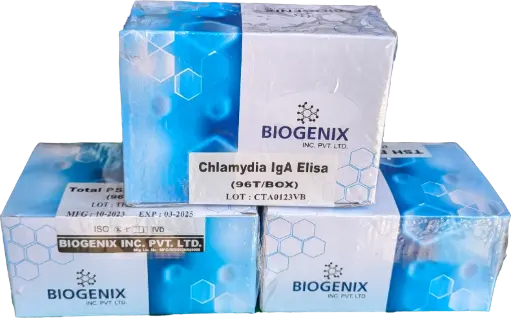 Chlamydia IgA