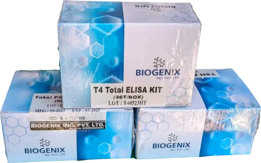 T4(Total Thyroxine)