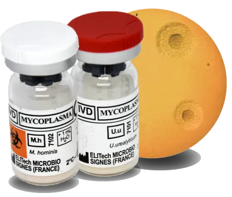 STERILE Medium for Mycoplasma